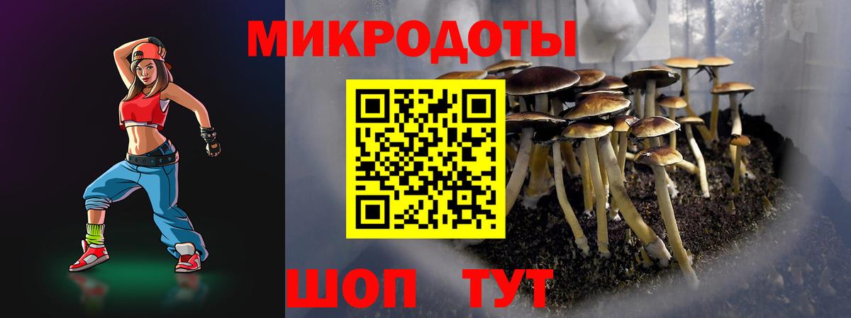 Галлюциногенные грибы мицелий Тулун