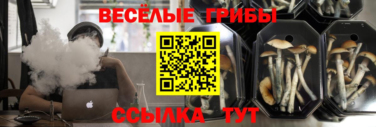 Галлюциногенные грибы Psilocybine cubensis  Галлюциногенные грибы Psilocybe  Вход с VPN  купить наркоту  Тулун 